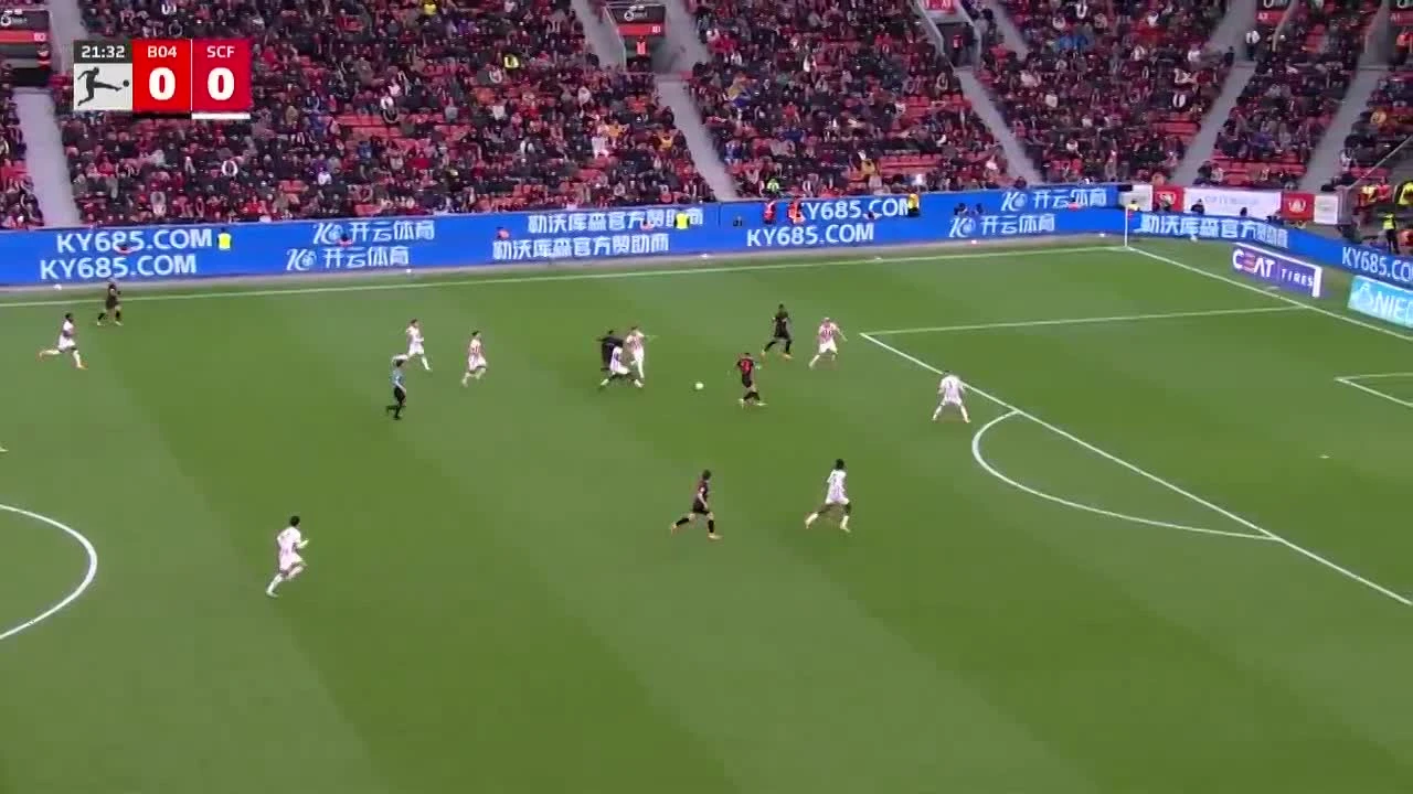 zaslepka skrotu video