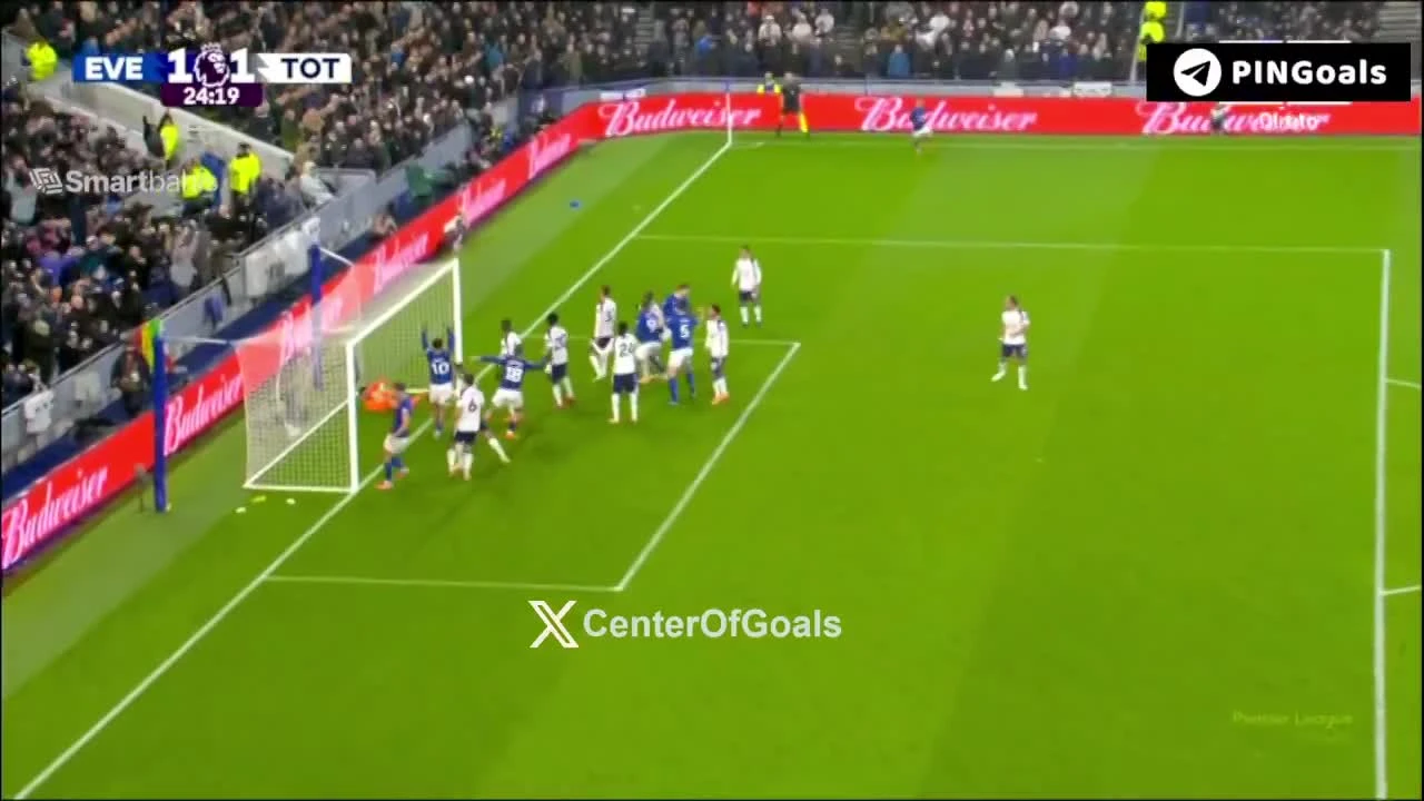 zaslepka skrotu video