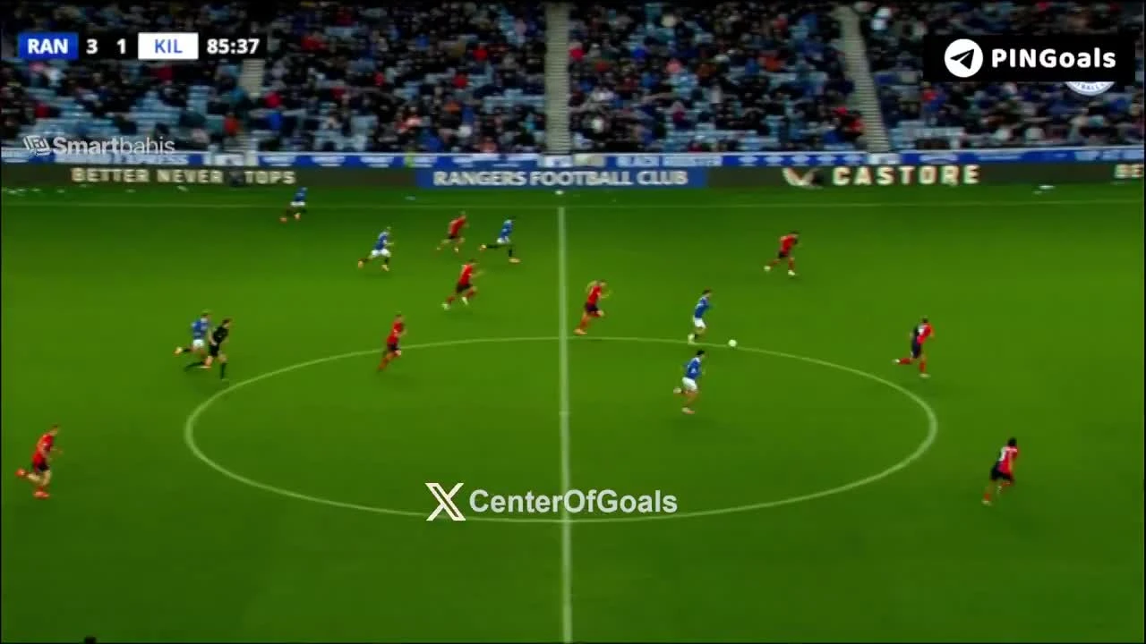 zaslepka skrotu video