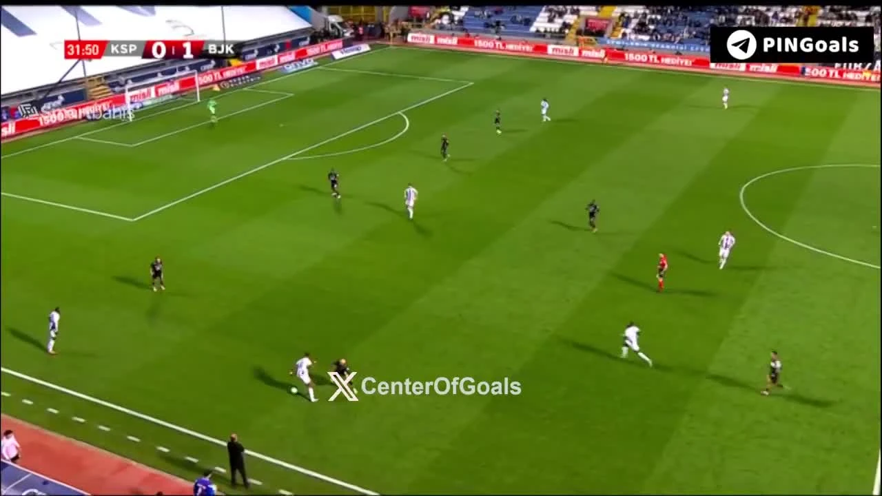 zaslepka skrotu video