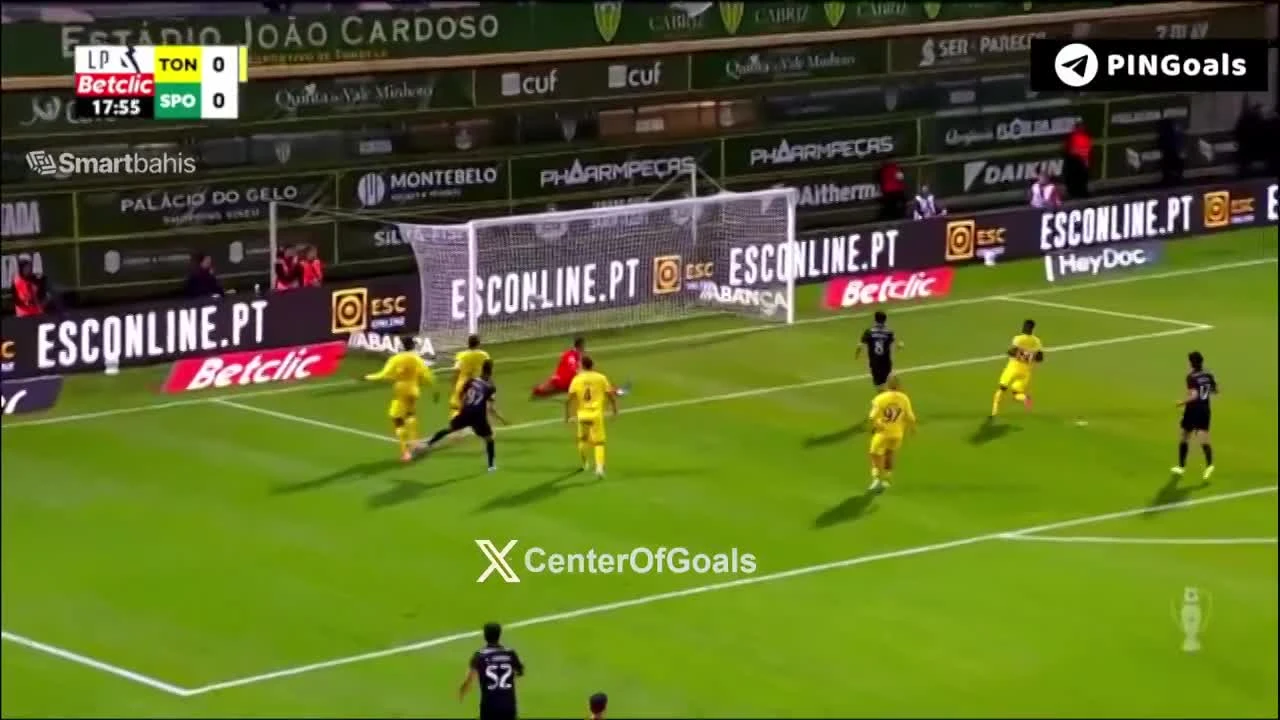 zaslepka skrotu video