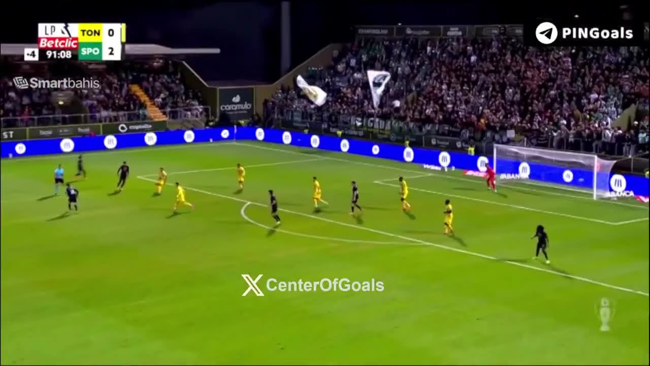 zaslepka skrotu video