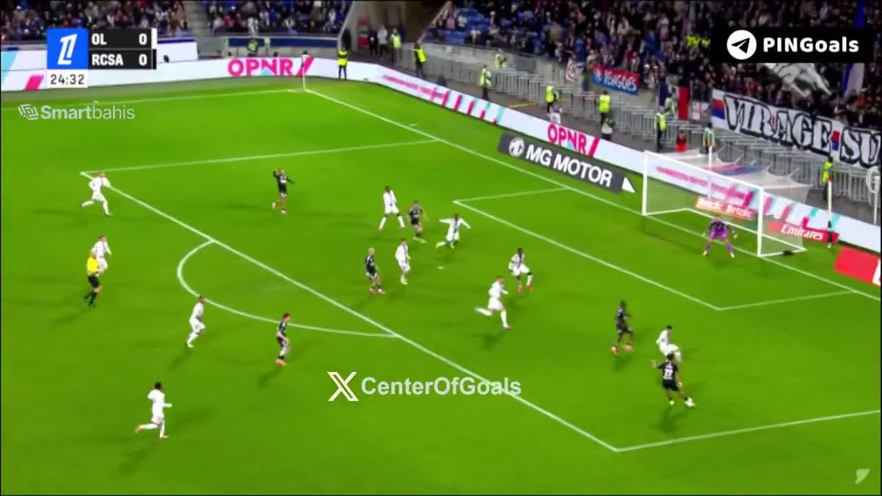 zaslepka skrotu video