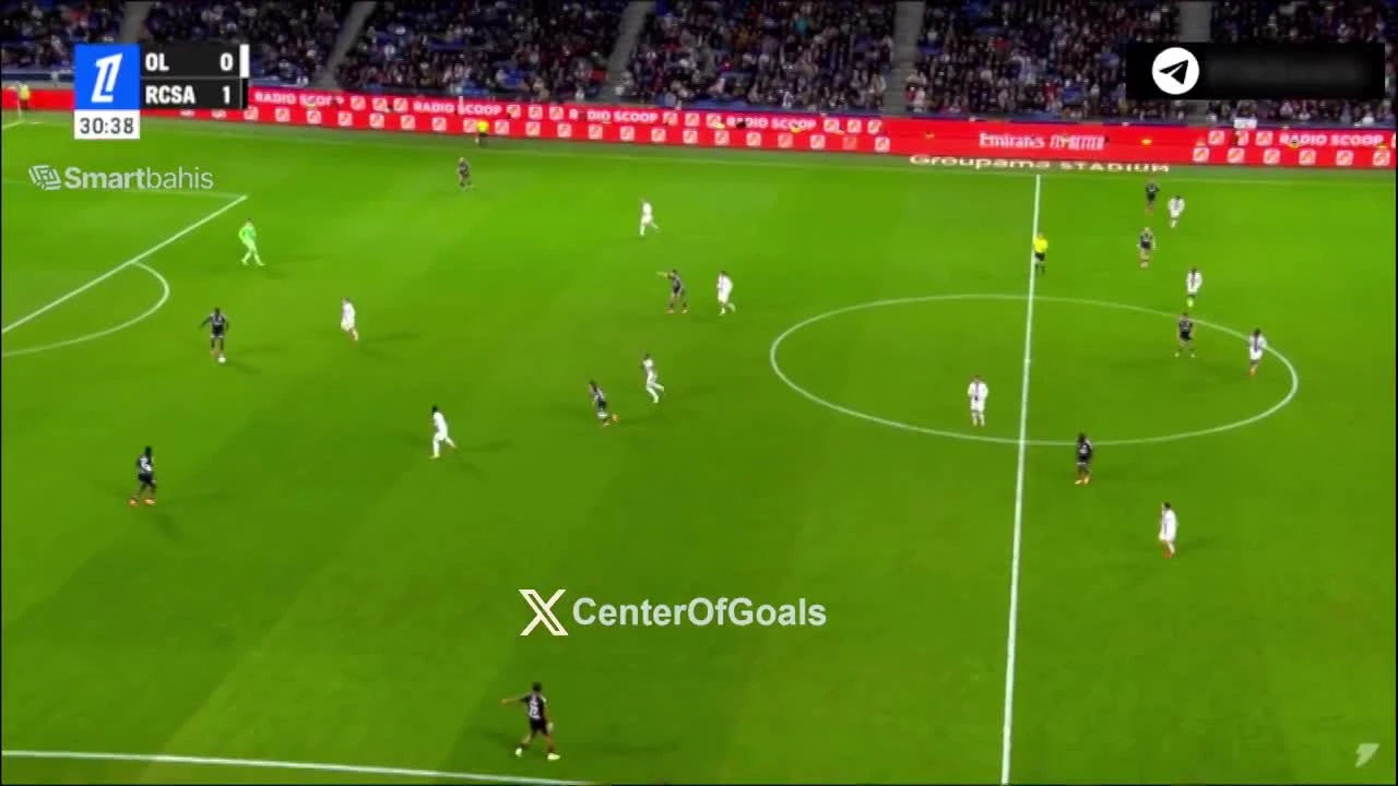 zaslepka skrotu video