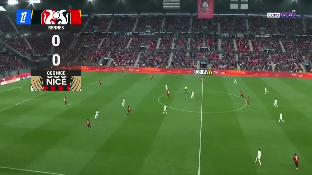 zaslepka skrotu video