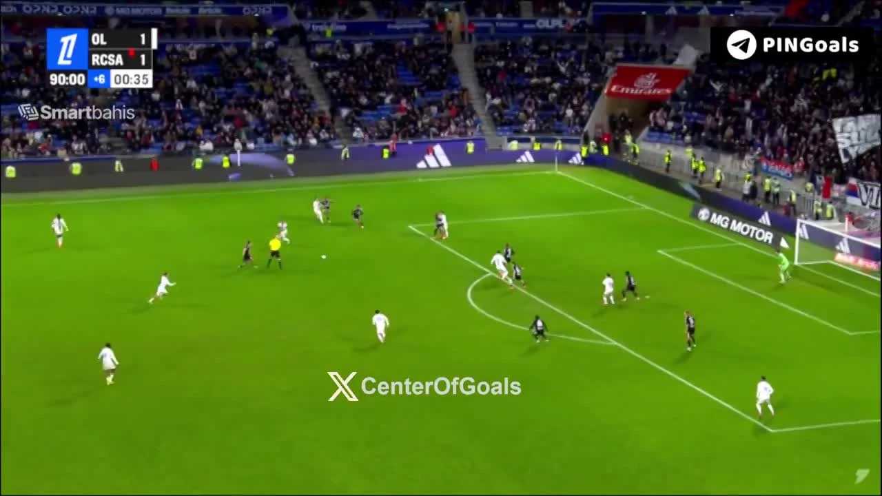 zaslepka skrotu video