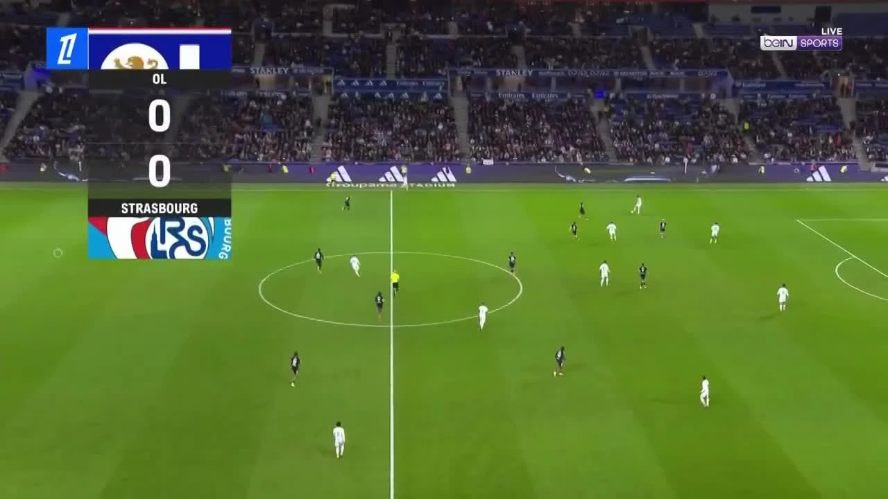 zaslepka skrotu video