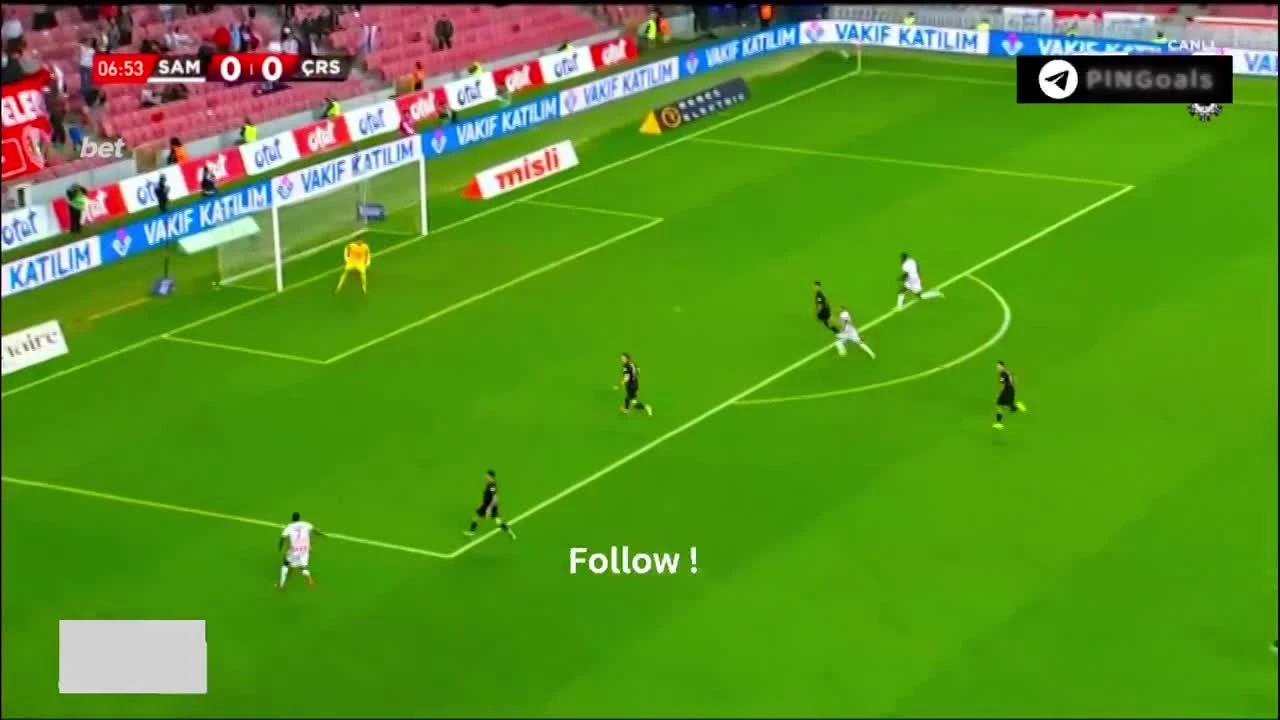 zaslepka skrotu video