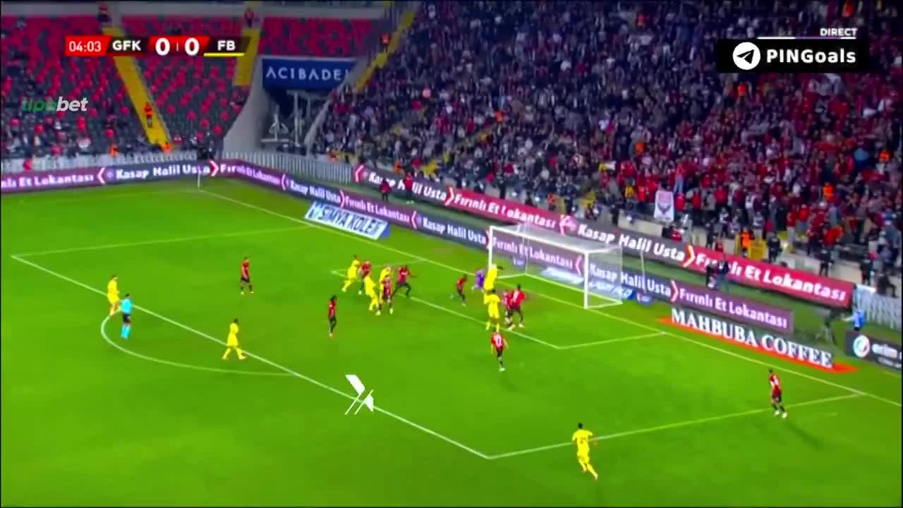 zaslepka skrotu video