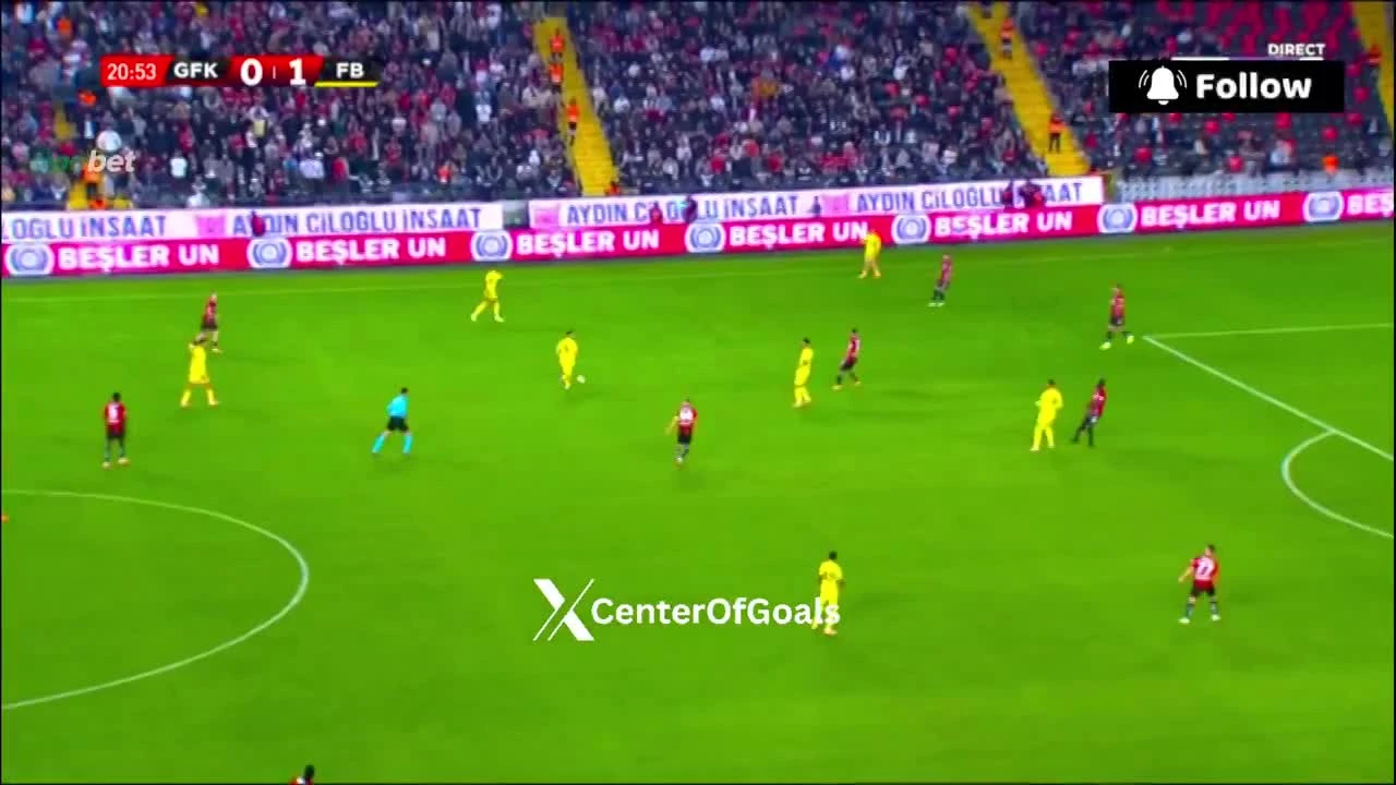 zaslepka skrotu video