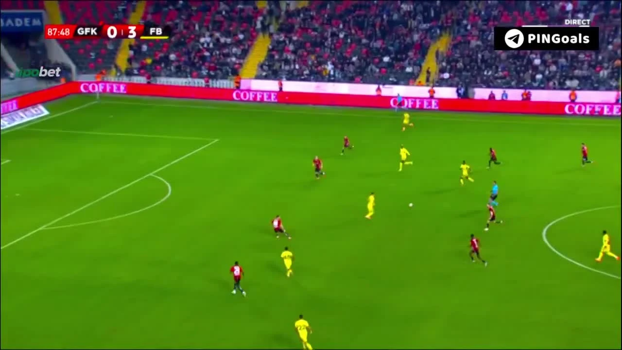 zaslepka skrotu video