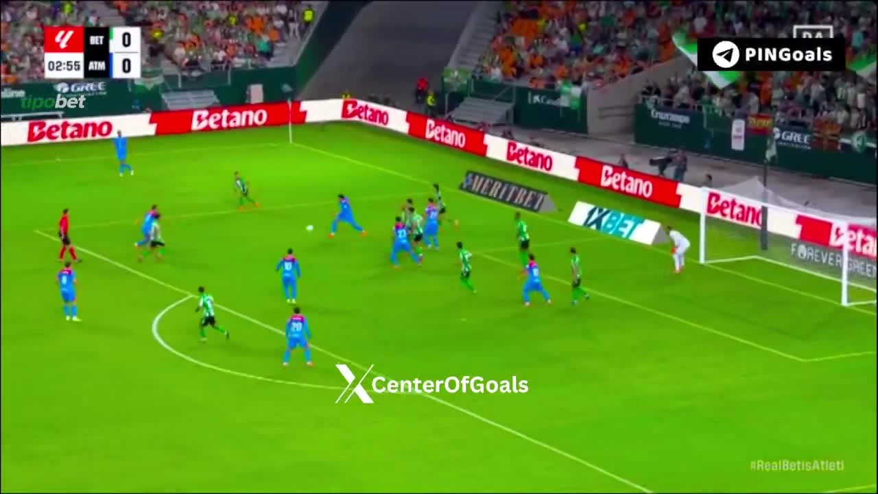 zaslepka skrotu video