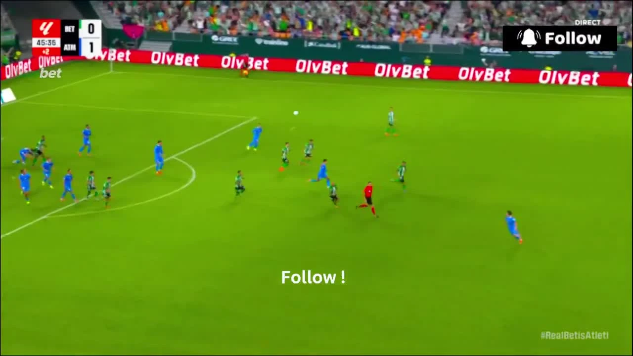 zaslepka skrotu video