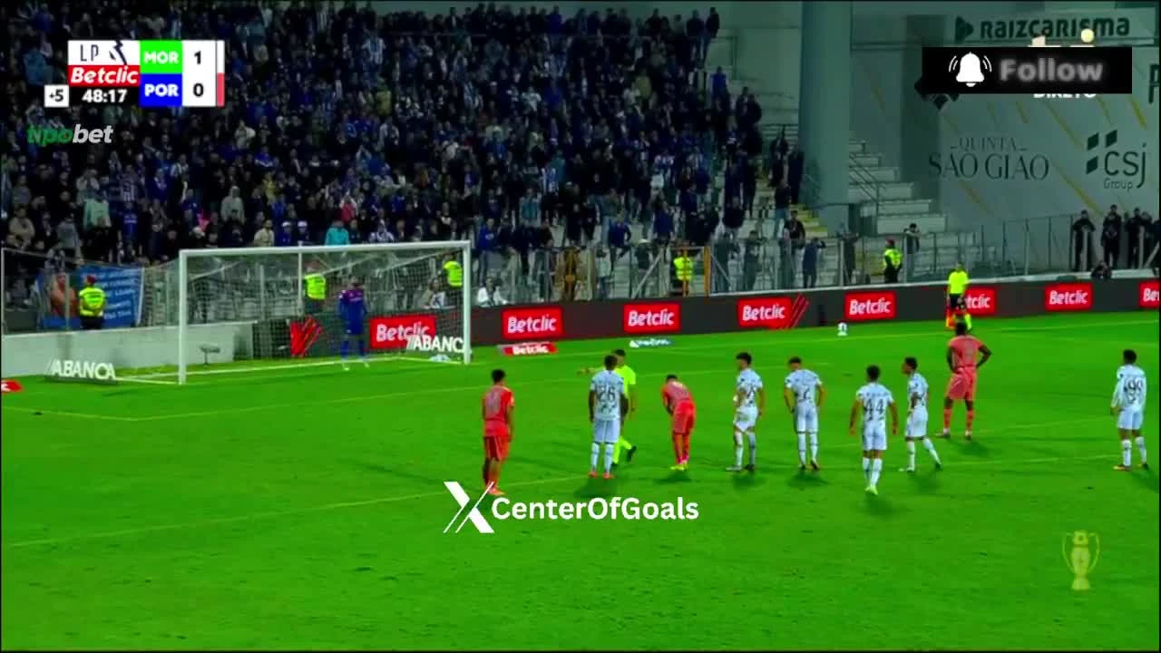 zaslepka skrotu video
