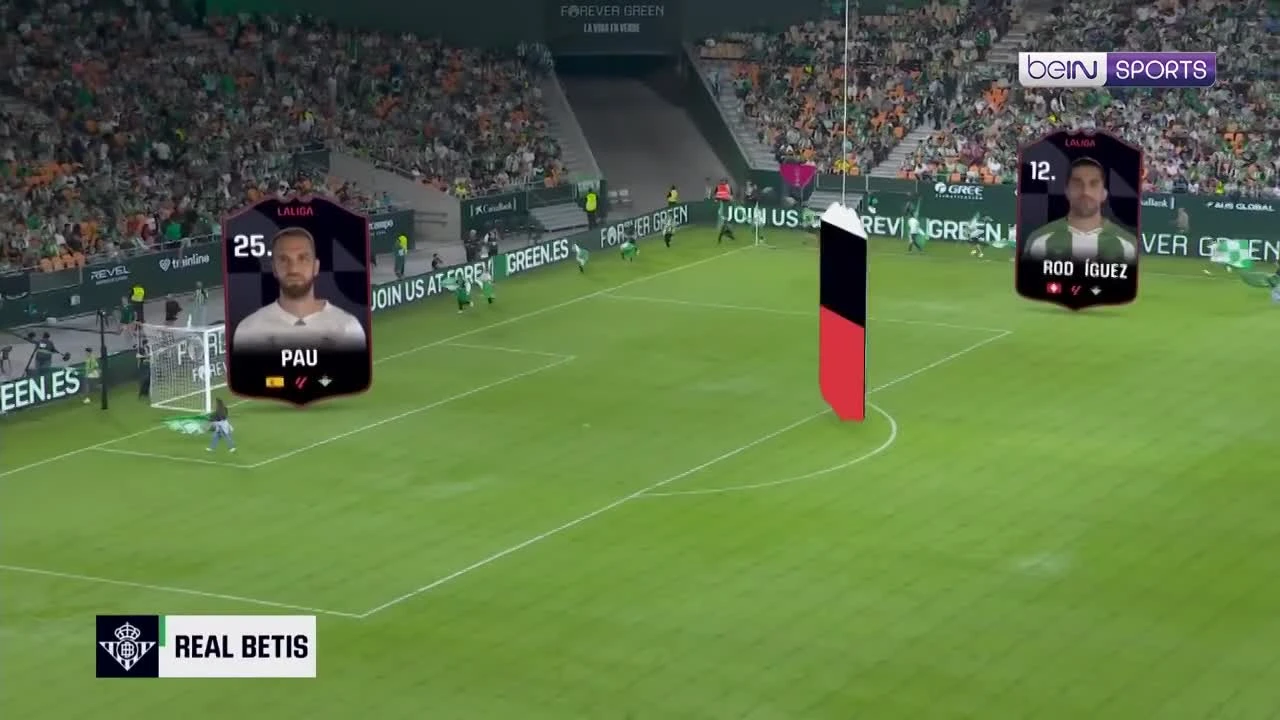 zaslepka skrotu video