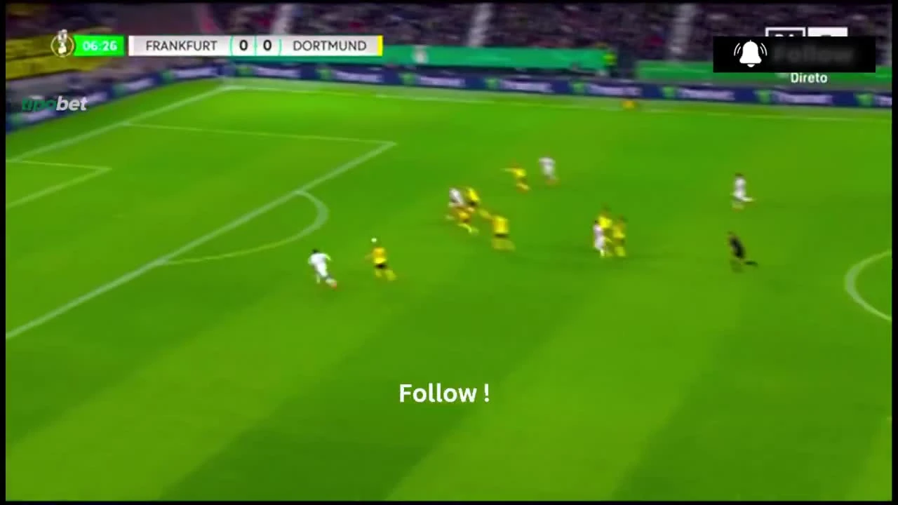 zaslepka skrotu video