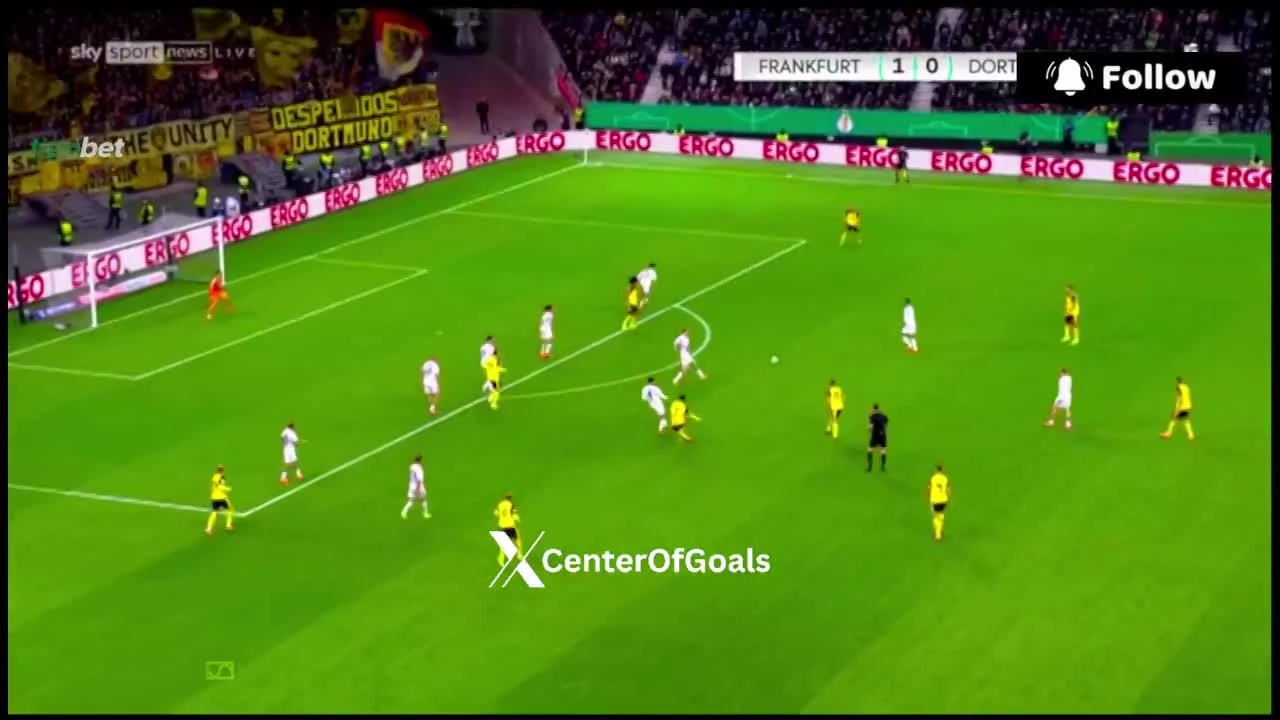 zaslepka skrotu video