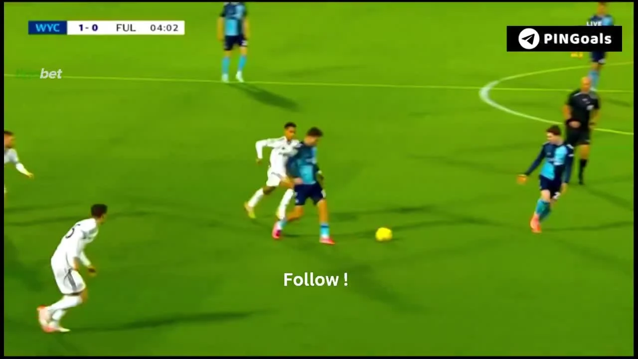 zaslepka skrotu video