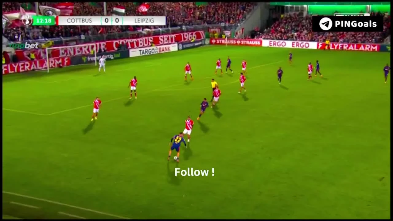 zaslepka skrotu video