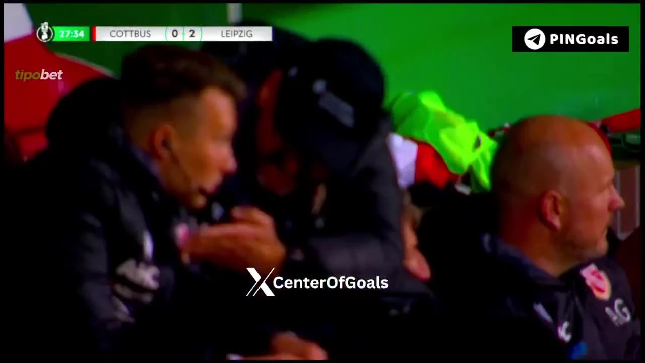 zaslepka skrotu video