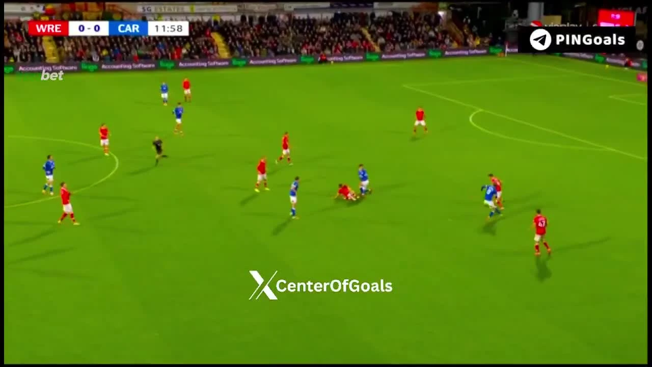 zaslepka skrotu video