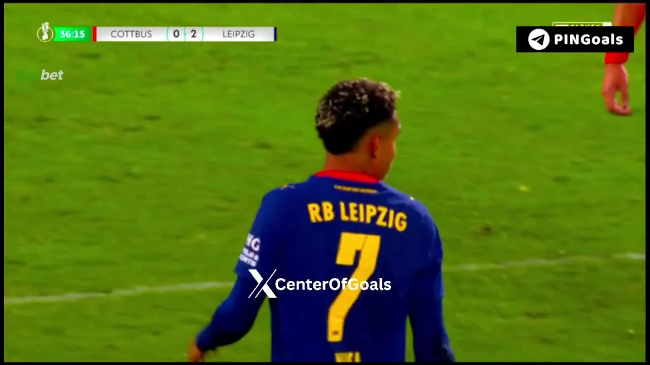 zaslepka skrotu video