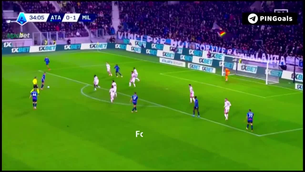 zaslepka skrotu video