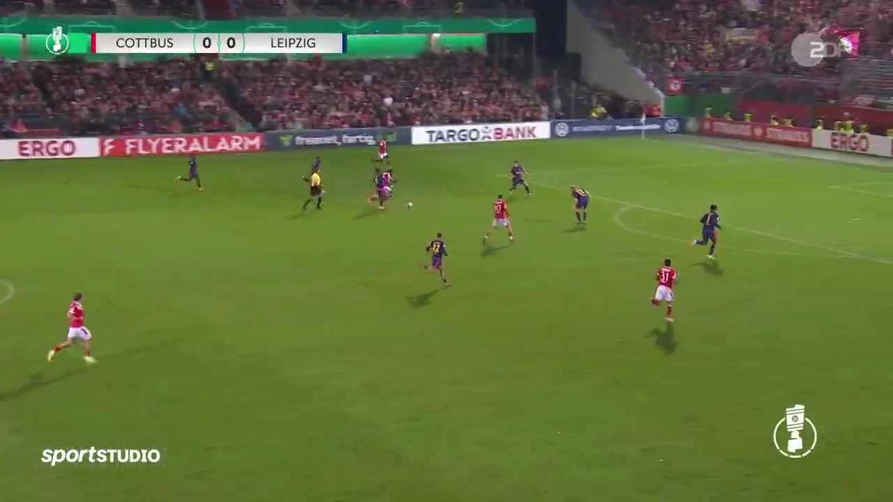 zaslepka skrotu video