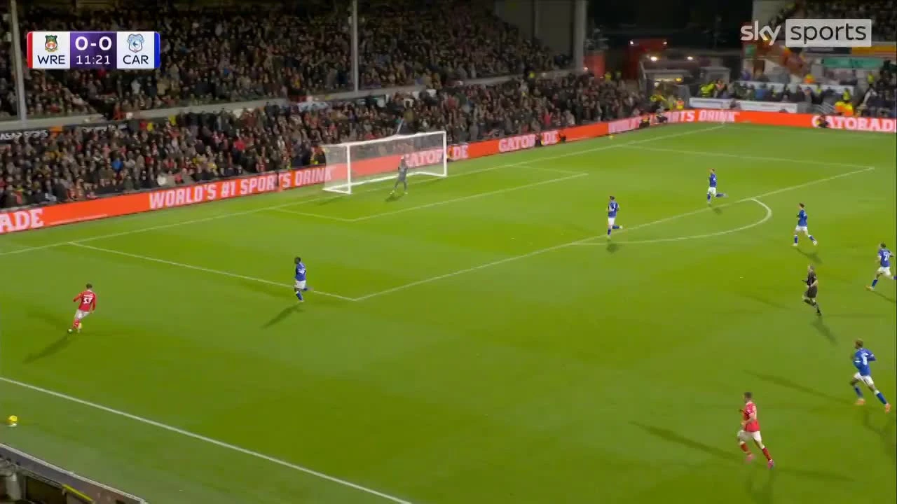 zaslepka skrotu video