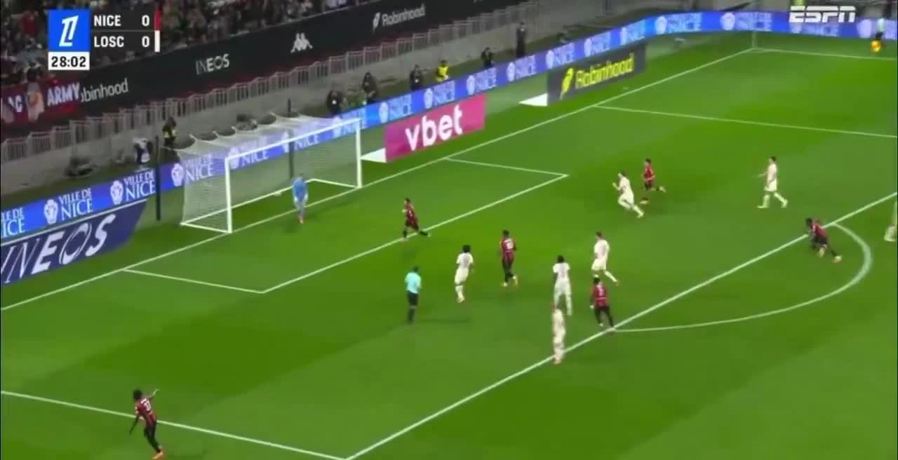 zaslepka skrotu video