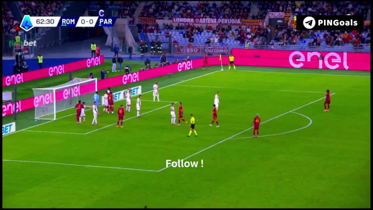 zaslepka skrotu video