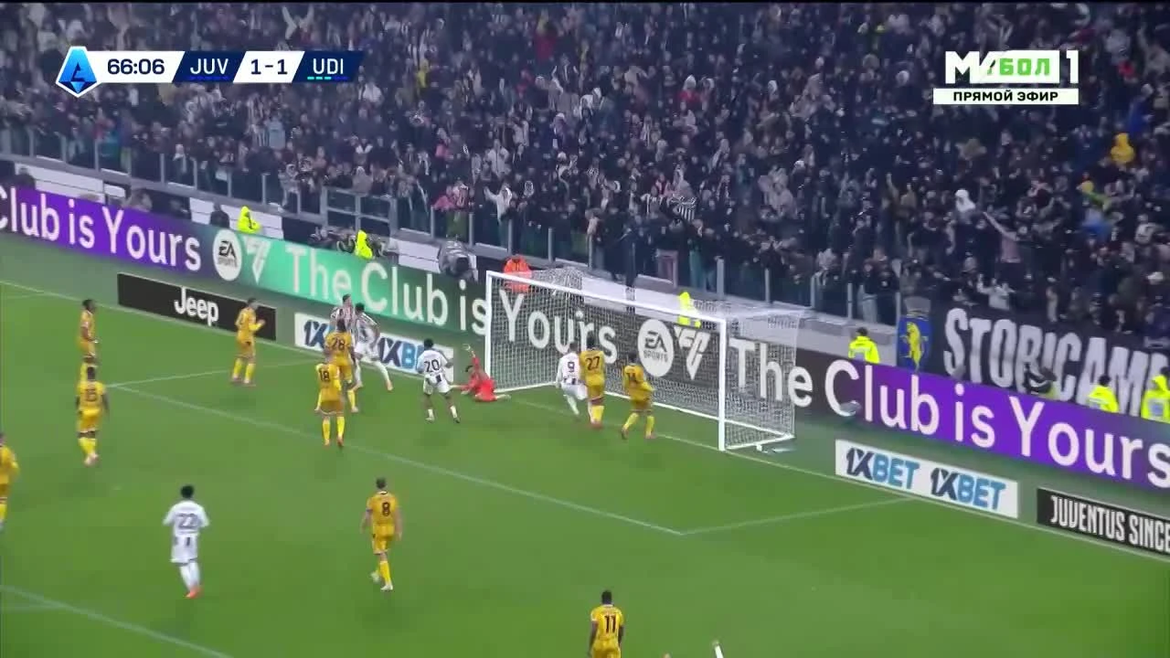 zaslepka skrotu video