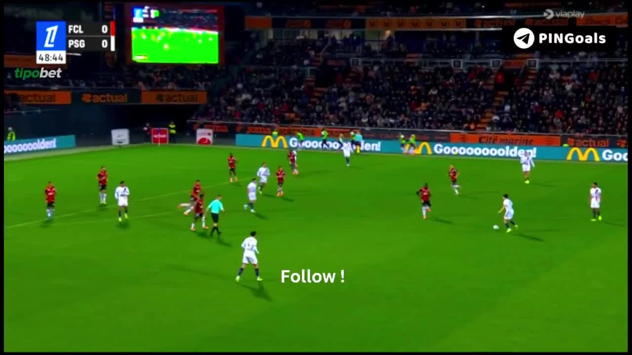 zaslepka skrotu video