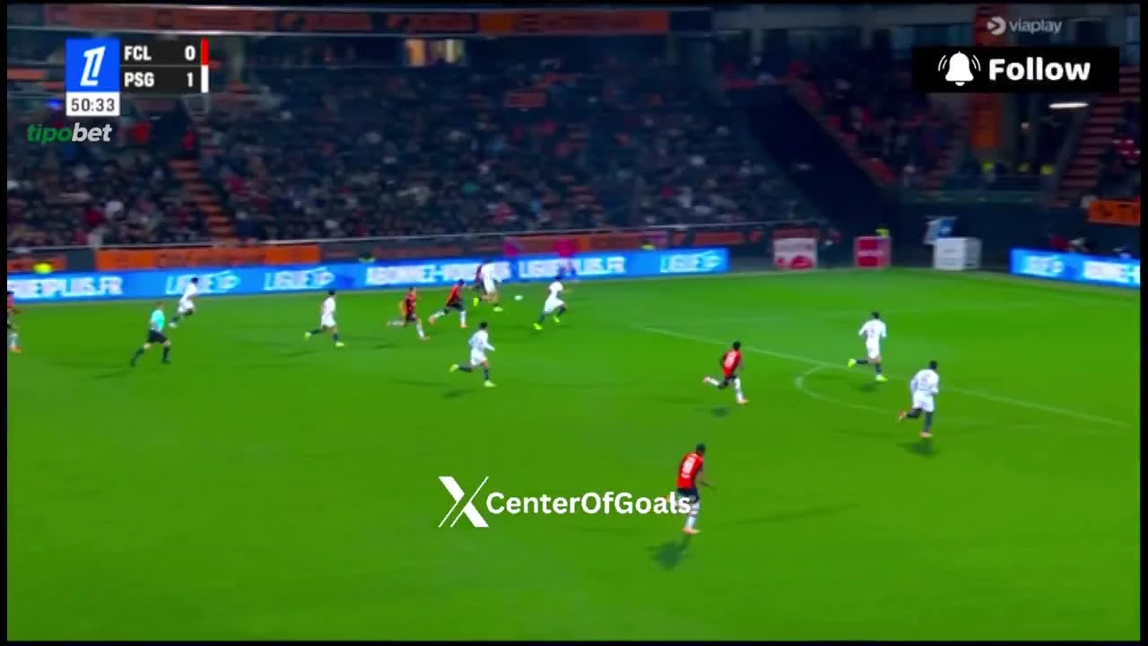 zaslepka skrotu video