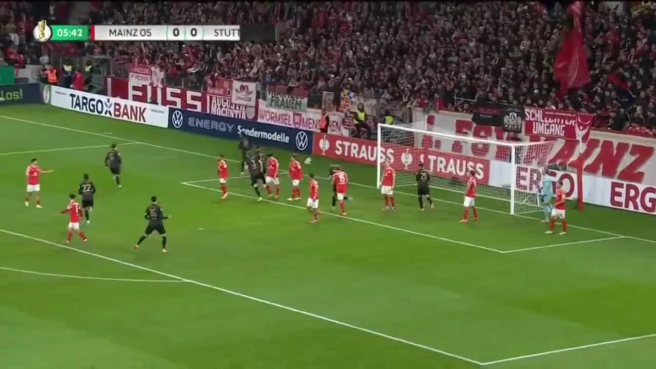 zaslepka skrotu video