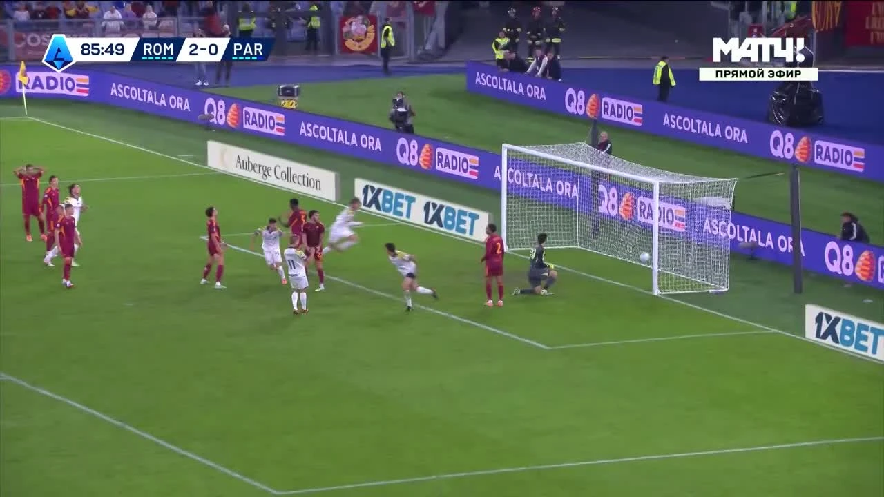 zaslepka skrotu video