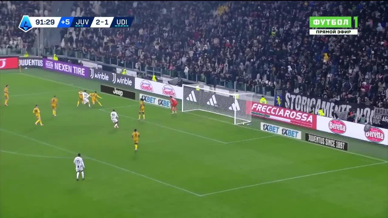 zaslepka skrotu video