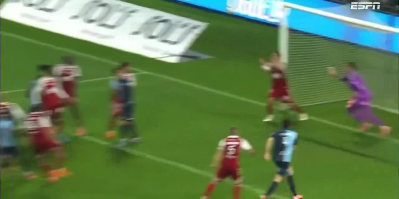 zaslepka skrotu video