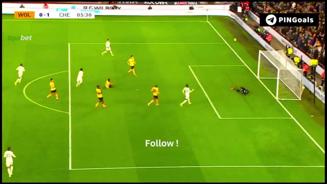 zaslepka skrotu video