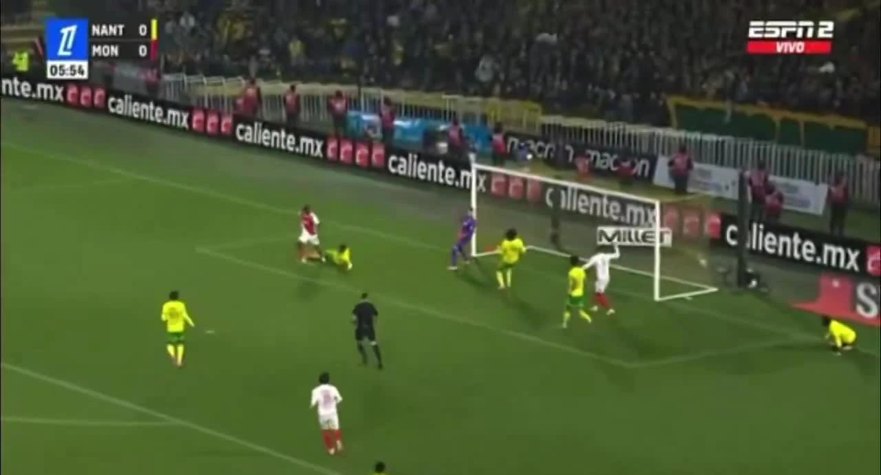 zaslepka skrotu video