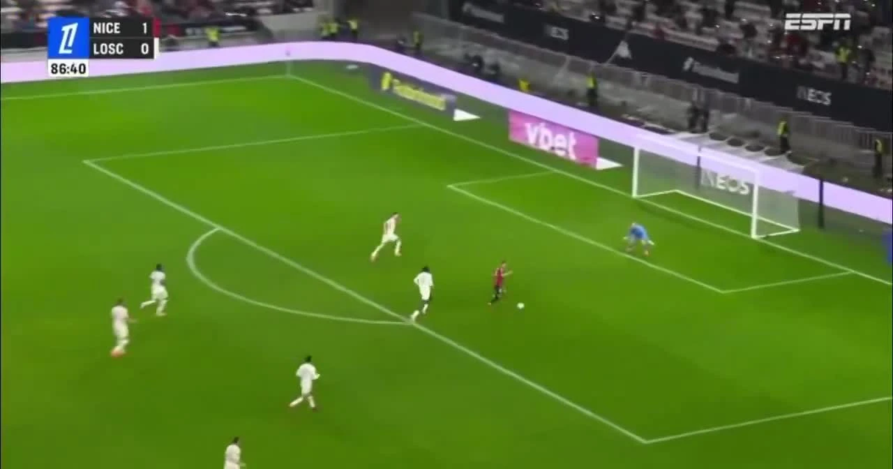 zaslepka skrotu video