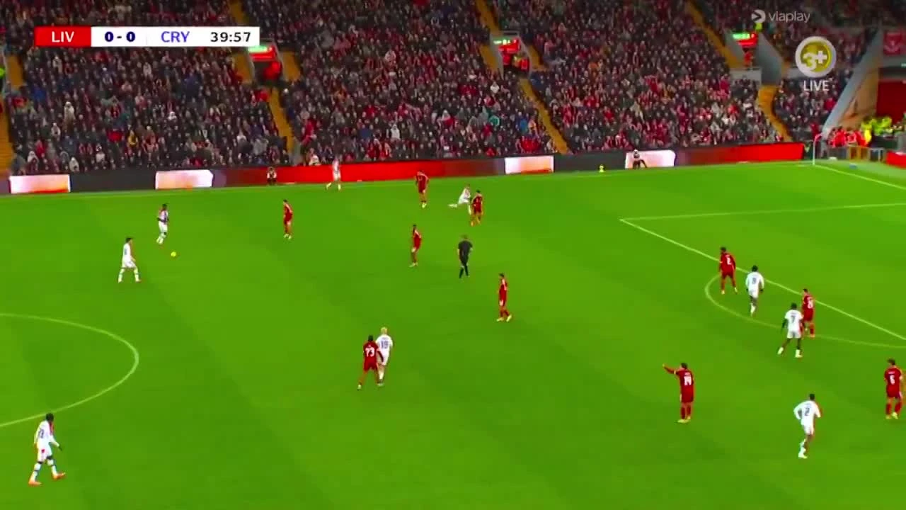 zaslepka skrotu video