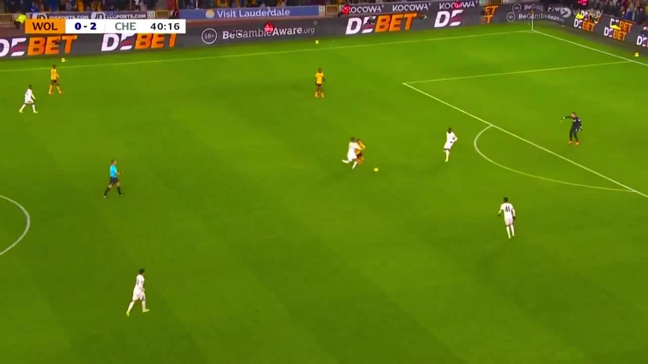 zaslepka skrotu video