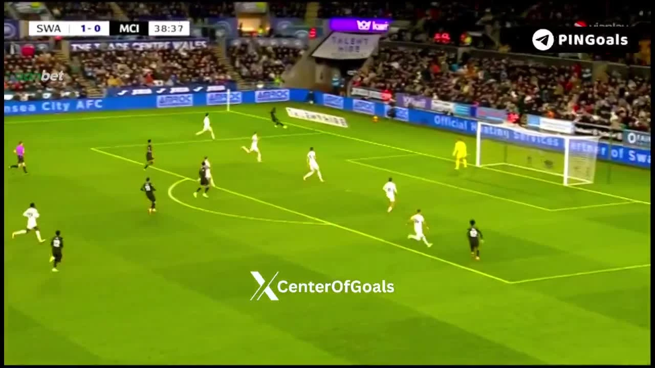 zaslepka skrotu video