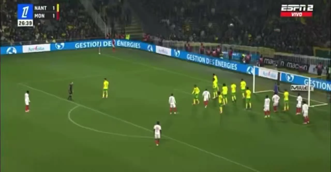 zaslepka skrotu video