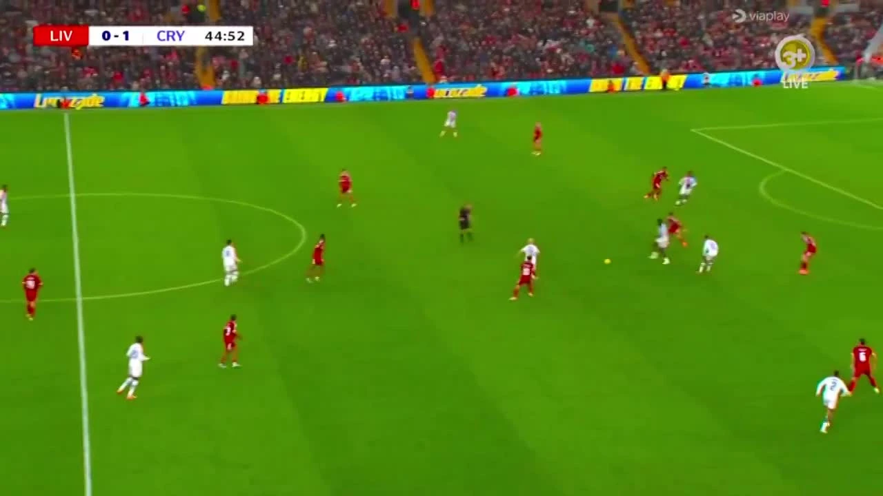 zaslepka skrotu video