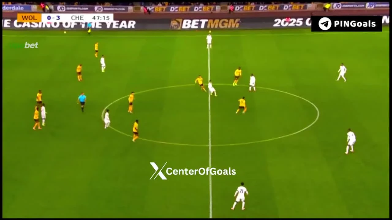 zaslepka skrotu video