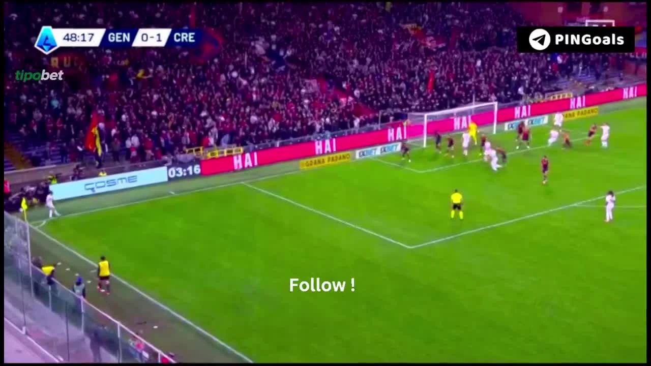 zaslepka skrotu video