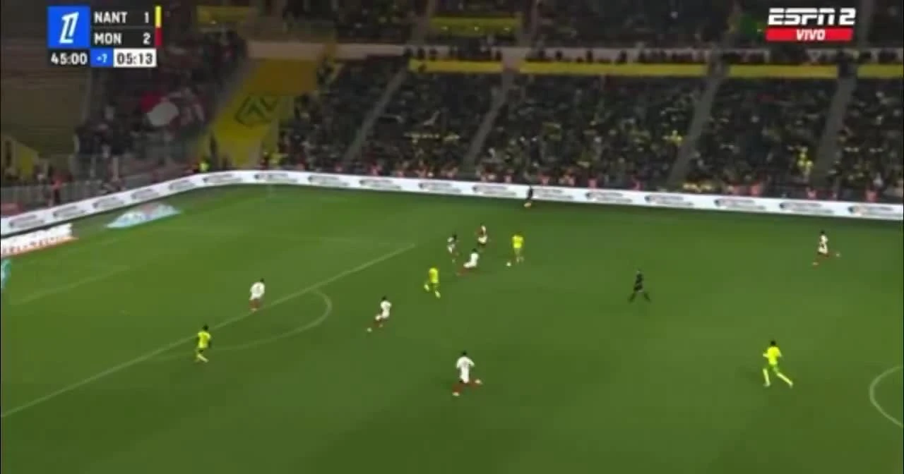 zaslepka skrotu video