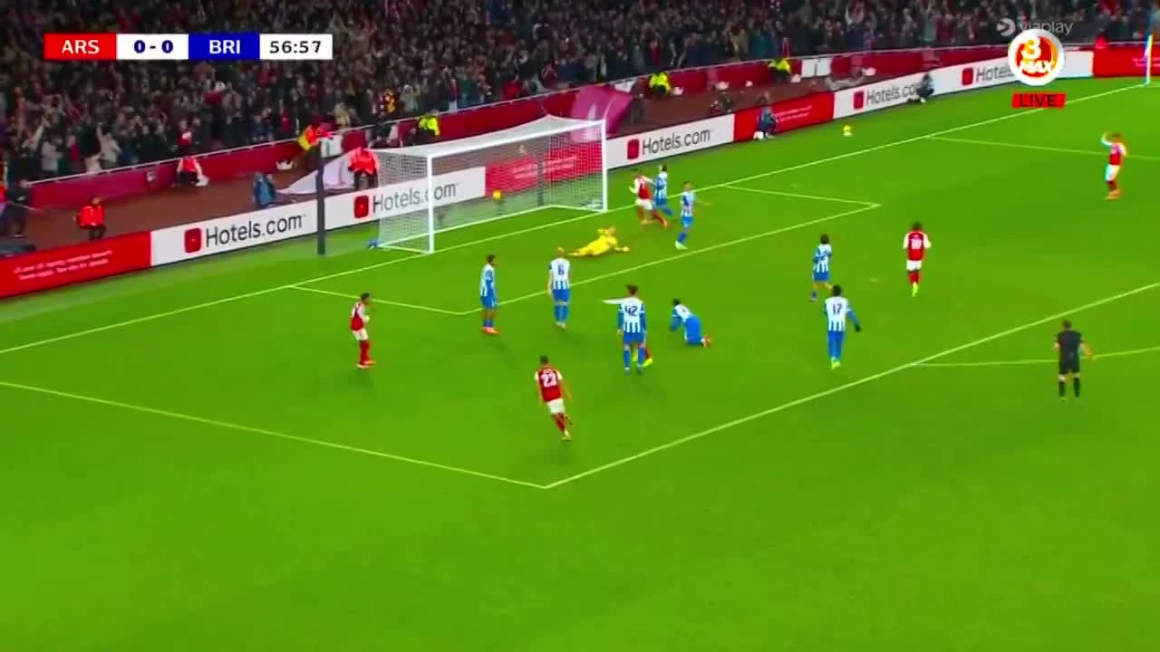 zaslepka skrotu video